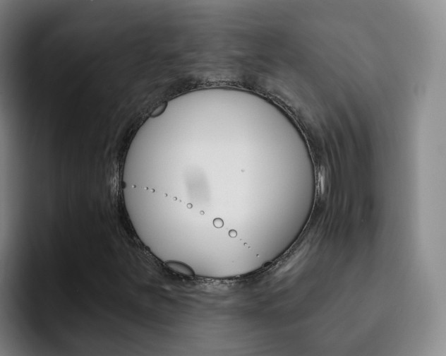 X0000093111251200709260939