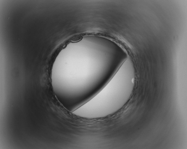 X0000093111256200709260939