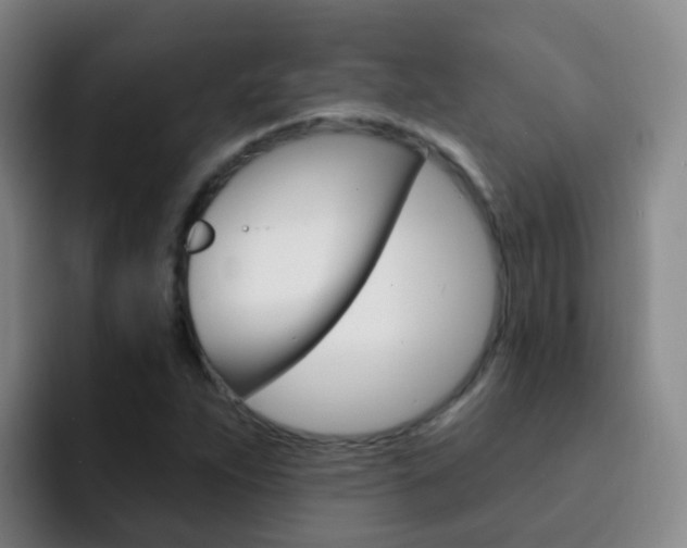 X0000093111263200709260939