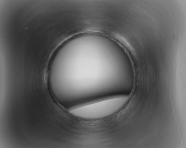 X0000093111268200709260939