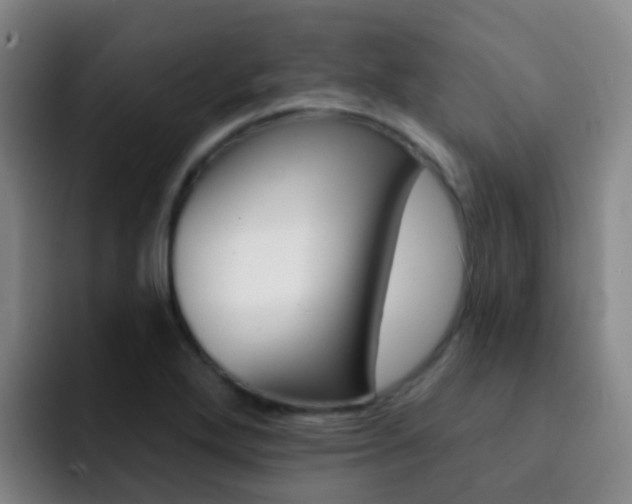 X0000093111272200709260939