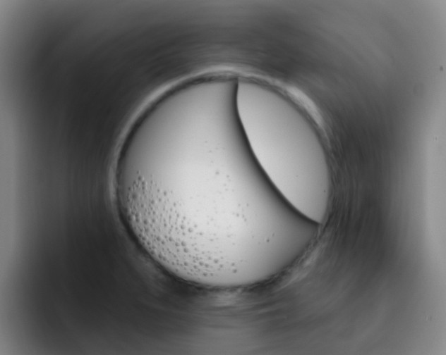 X0000093111279200709260939