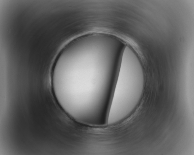 X0000093111280200709260939