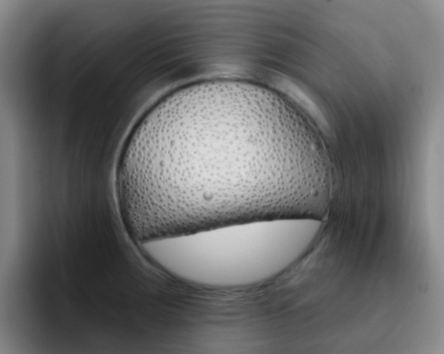 X0000093111283200709260939