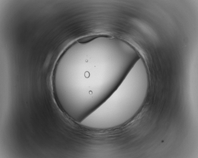 X0000093111291200709260939