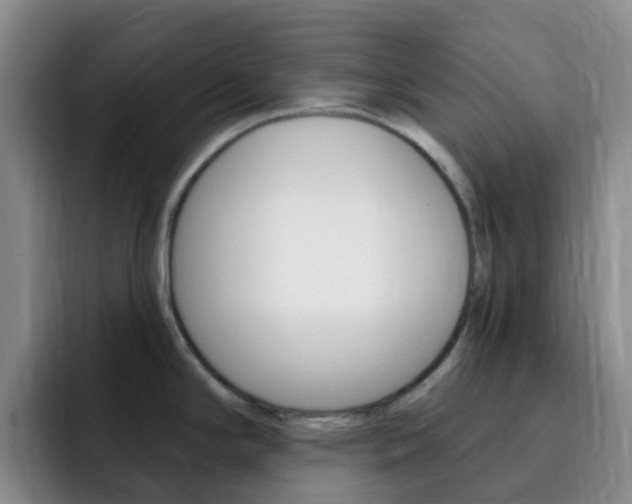 X0000093111294200709260939