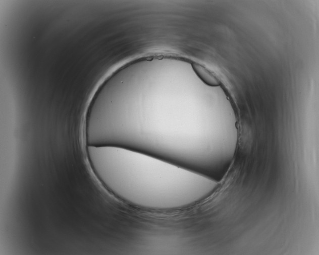 X0000093111295200709260939