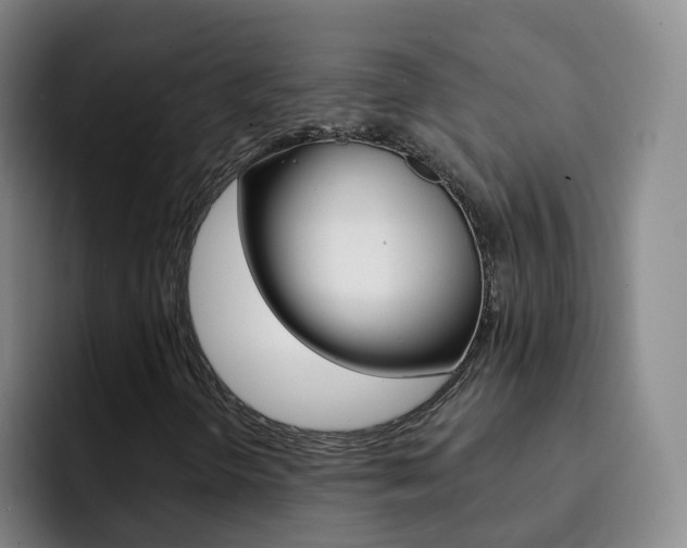 X0000093111298200709260938