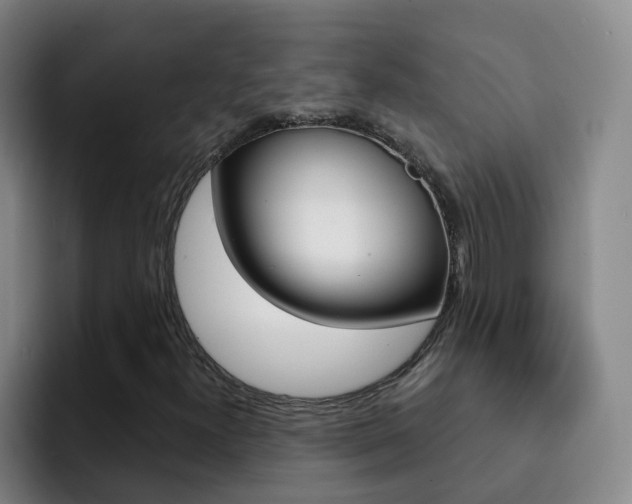 X0000093111300200709260938