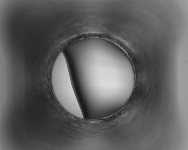X0000093111303200709260938