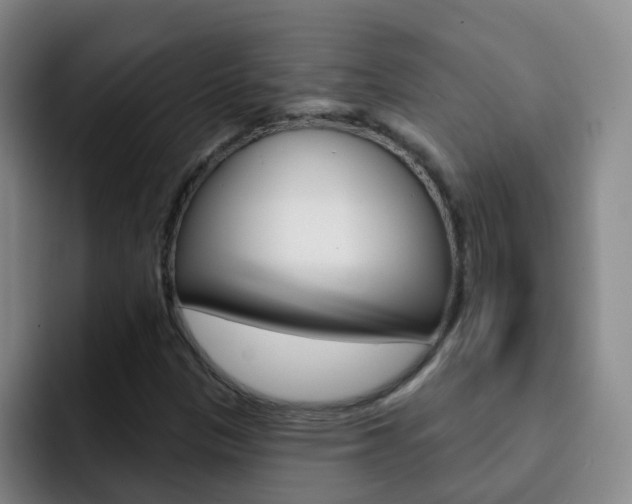 X0000093111305200709260938