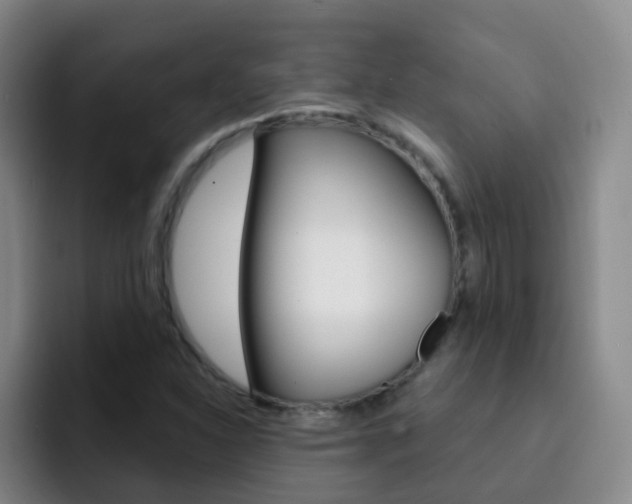 X0000093111310200709260938
