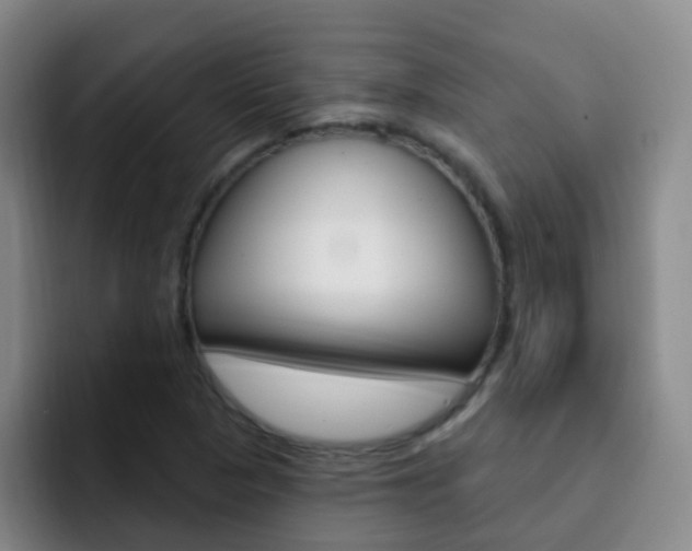 X0000093111313200709260938