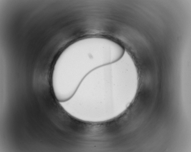 X0000093111314200709260938