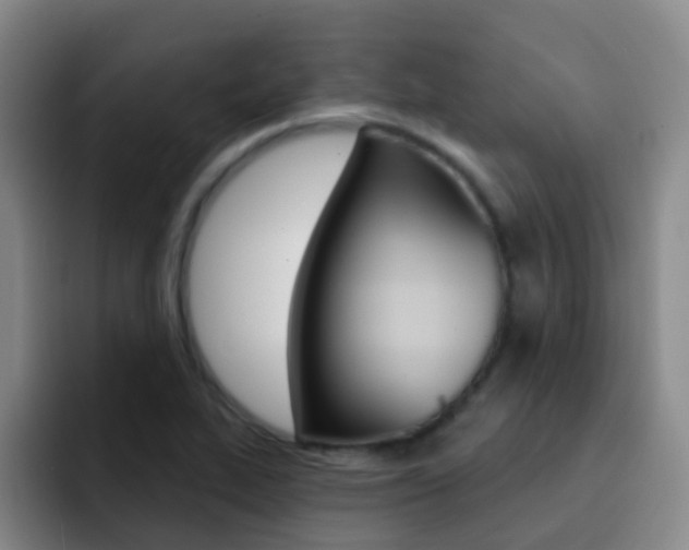 X0000093111319200709260938