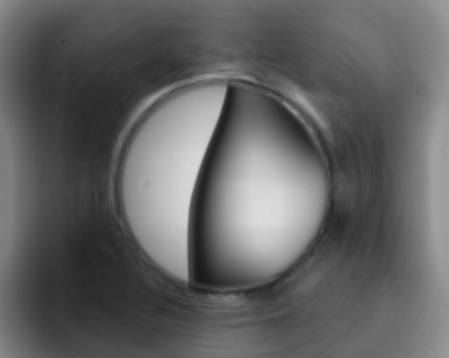 X0000093111320200709260938