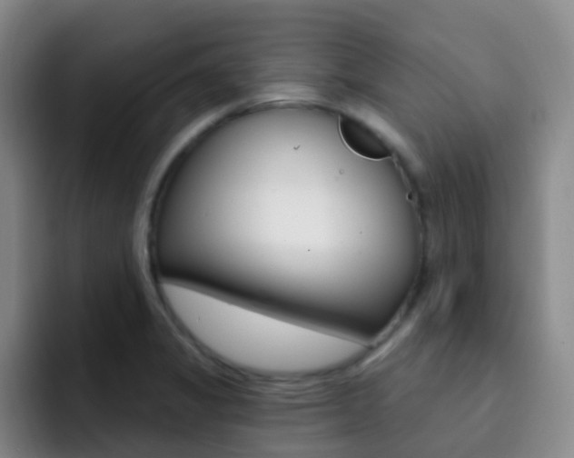 X0000093111325200709260938