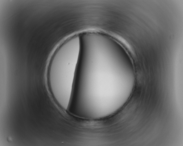 X0000093111327200709260938