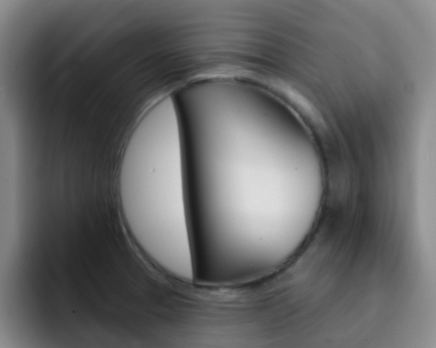 X0000093111329200709260938