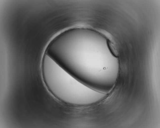 X0000093111335200709260939