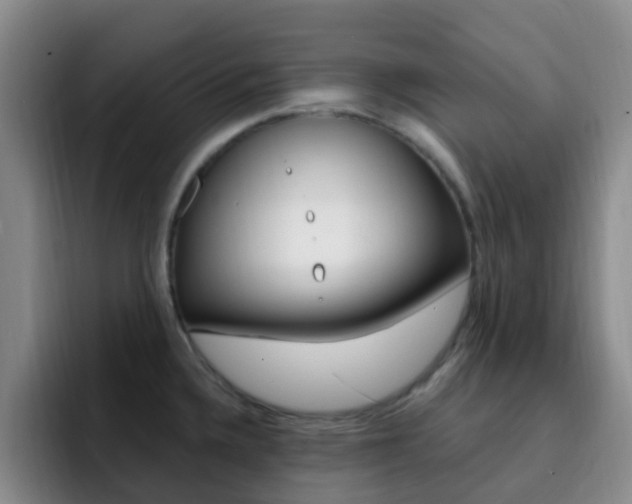 X0000093111336200709260939