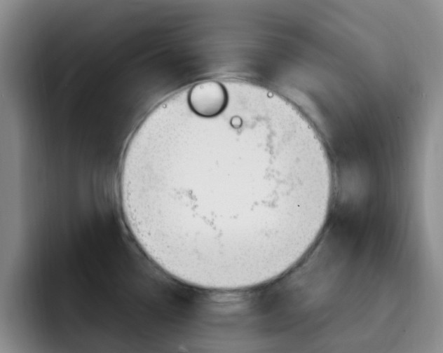 X0000093111338200709260939