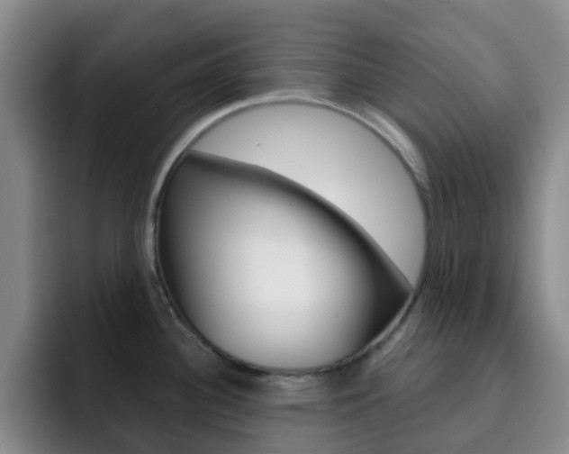 X0000093111340200709260939