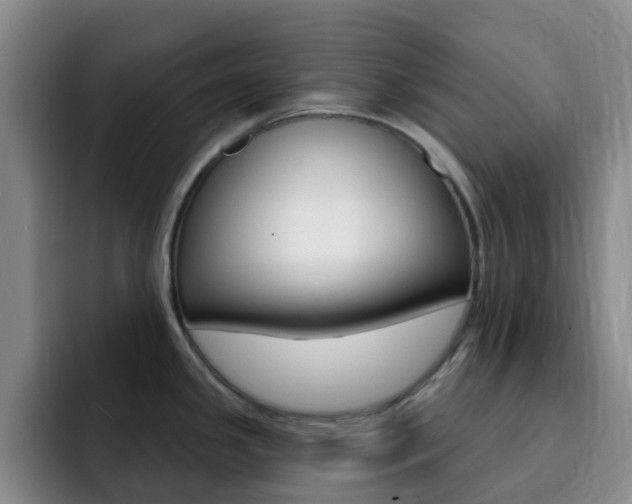 X0000093111341200709260939