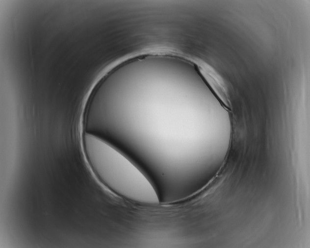 X0000093111343200709260939