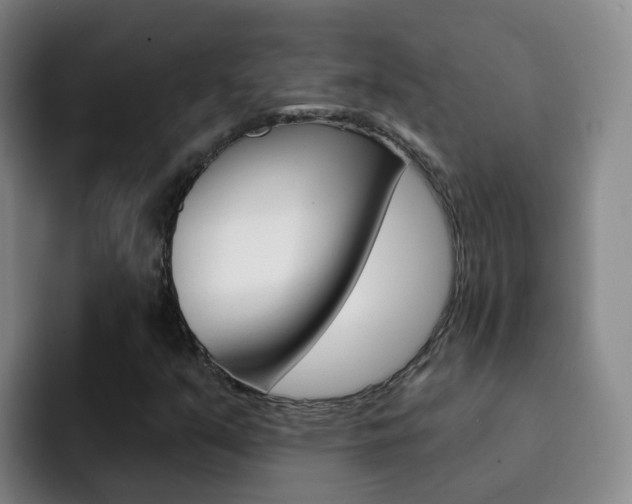 X0000093111351200709260938