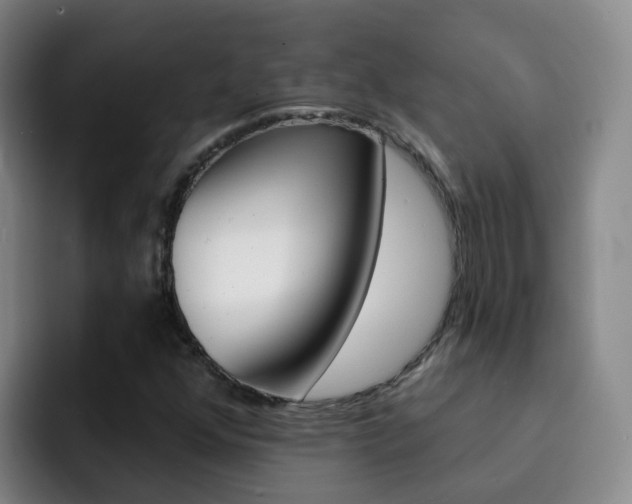X0000093111352200709260938