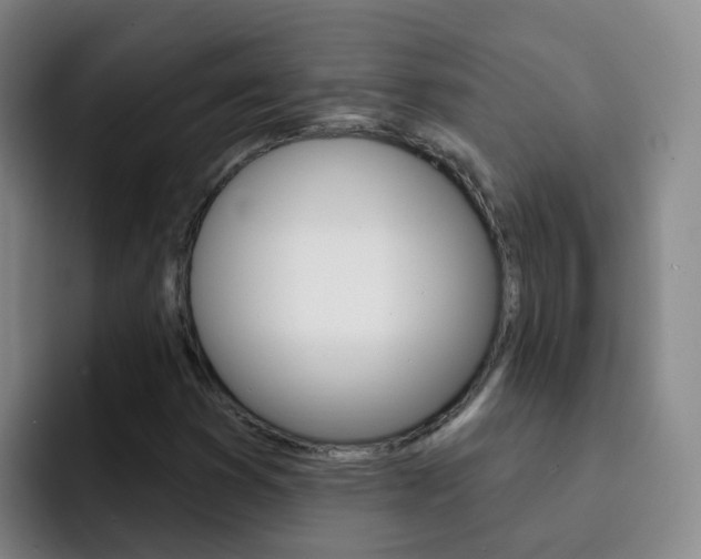 X0000093111353200709260938