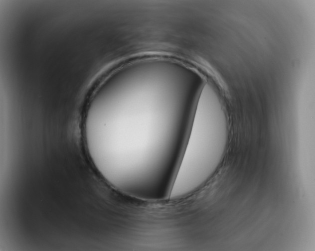 X0000093111360200709260938