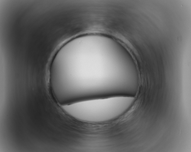 X0000093111366200709260938