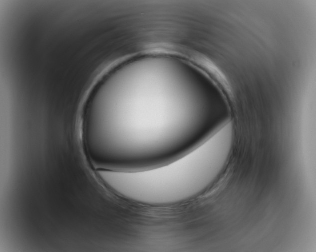 X0000093111376200709260938