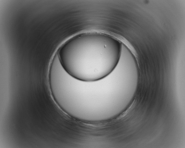 X0000093111388200709260938