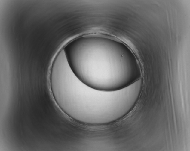 X0000093111392200709260938