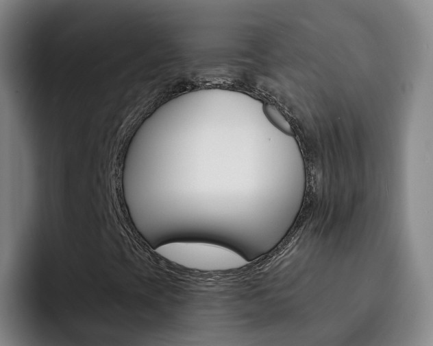 X0000093111393200709260937