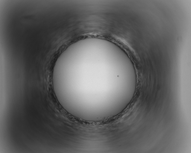 X0000093111399200709260937