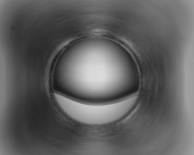 X0000093111410200709260937
