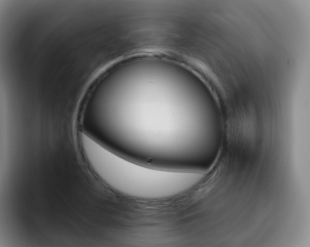 X0000093111412200709260937