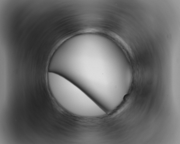 X0000093111417200709260937