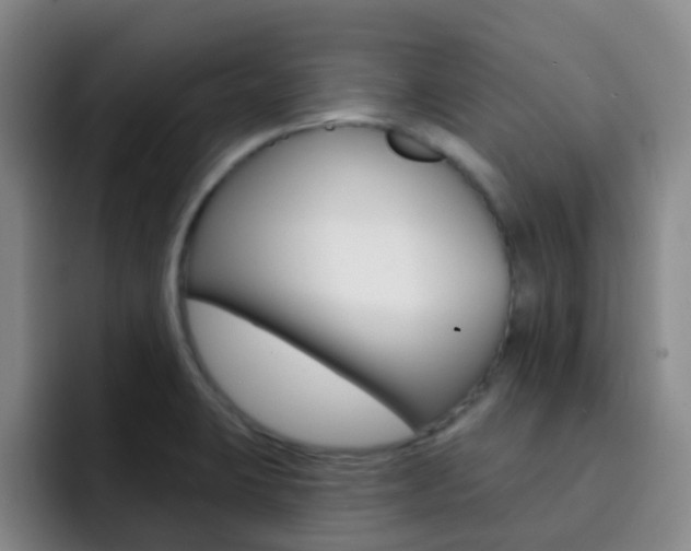 X0000093111423200709260937