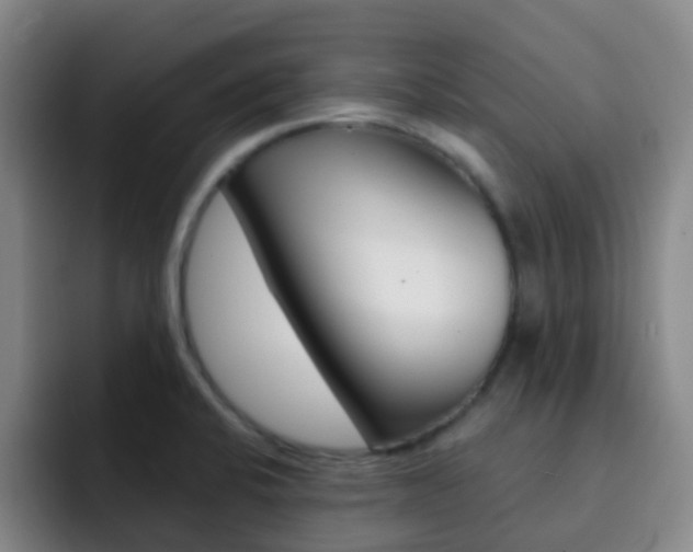 X0000093111424200709260937