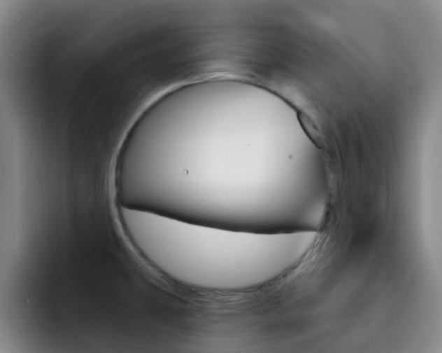 X0000093111431200709260937