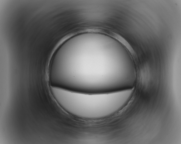 X0000093111436200709260938
