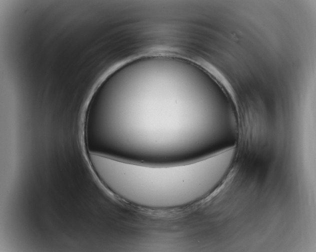 X0000093111437200709260938