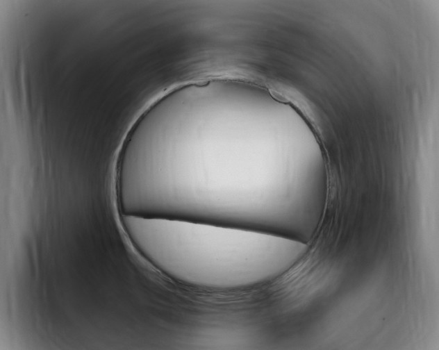 X0000093111439200709260938