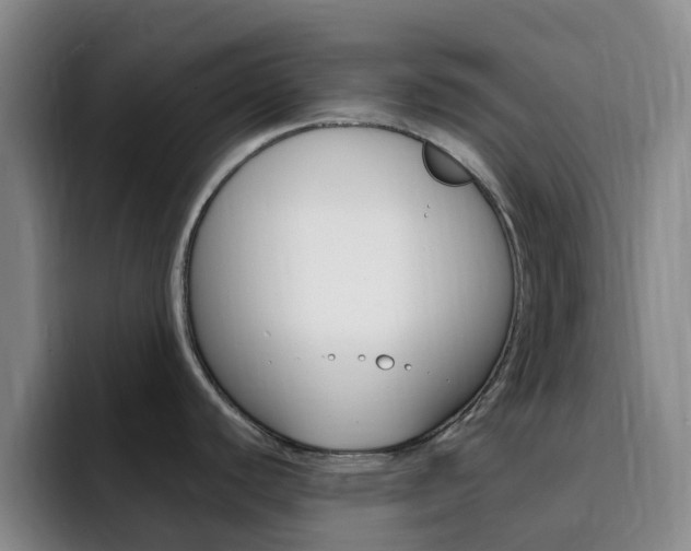 X0000093111440200709260938