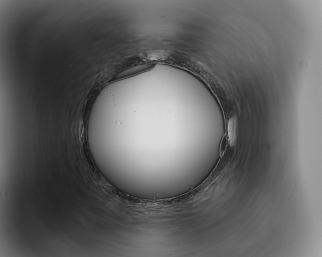 X0000093111443200709260937